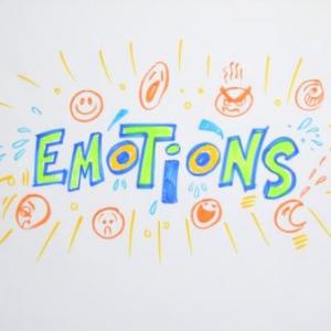 EMOTIONS