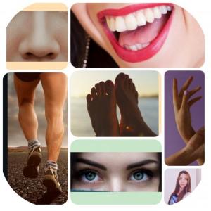 MEMOTEST PARTES DEL CUERPO