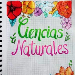 Placas,volcanes,cambios climaticos