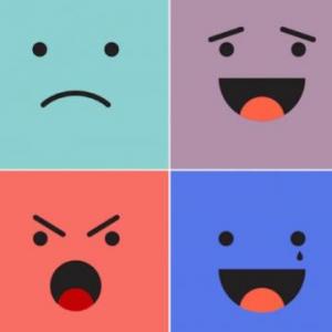LAS EMOCIONES