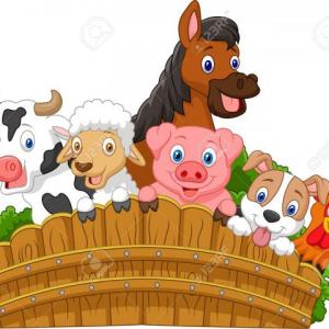 Animals
