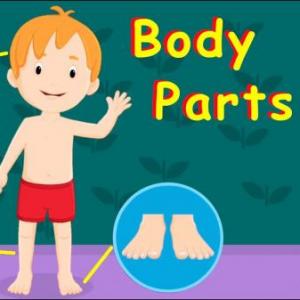 PARTS OF THE BODY 