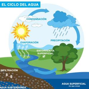 Oca ciclo del agua