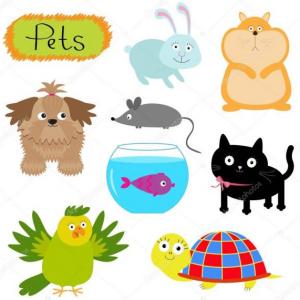 Pets Memo