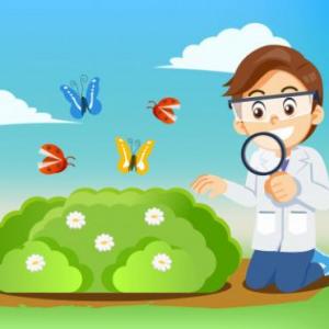 Imagen de portada del videojuego educativo: Test de Ciencias Naturales, de la temática Biología