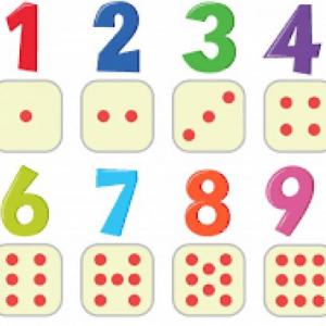 Numeros y cantidad
