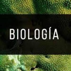 Memorama Biología