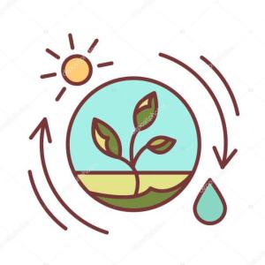 EcoTrivia Challenge