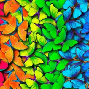 LOS COLORES - COLORS