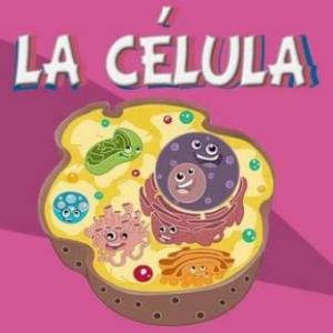 LA CÉLULA