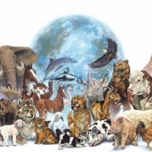 Animales Vertebrados