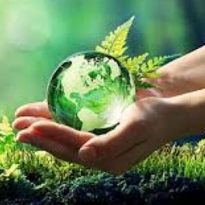 Environment Vocabulary 