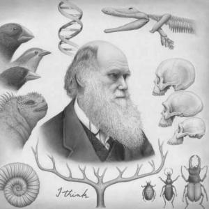 Darwin y la evolucion (Ciencias Naturales)