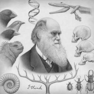 Darwin y la evolución (Ciencias Naturales)