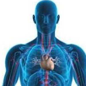 memorama del cuerpo humano