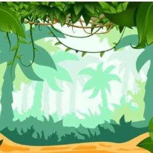 BUSCAMOS ANIMALES EN LA JUNGLA