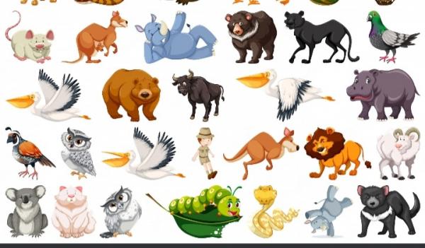 Animales