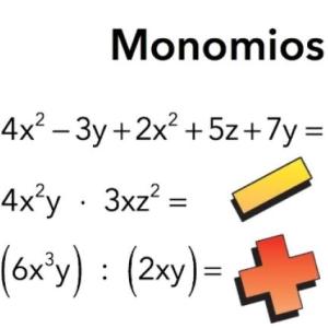 Monomios 