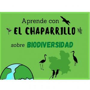 Descubre nuestras aves esteparias