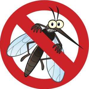 Dengue