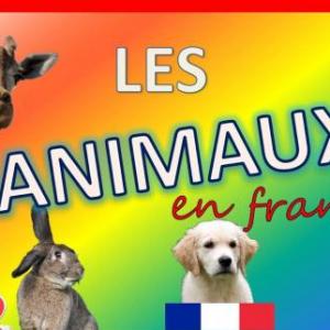 les animaux