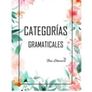 CATEGORÍAS GRAMATICALES