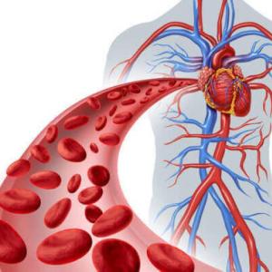 Cardiopreguntas