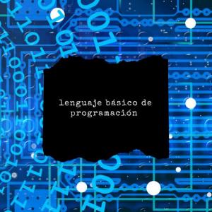 lenguaje básico de programación (duchazos)