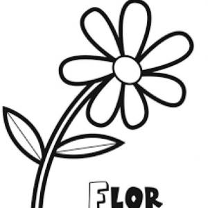 PARTES DE UNA FLOR