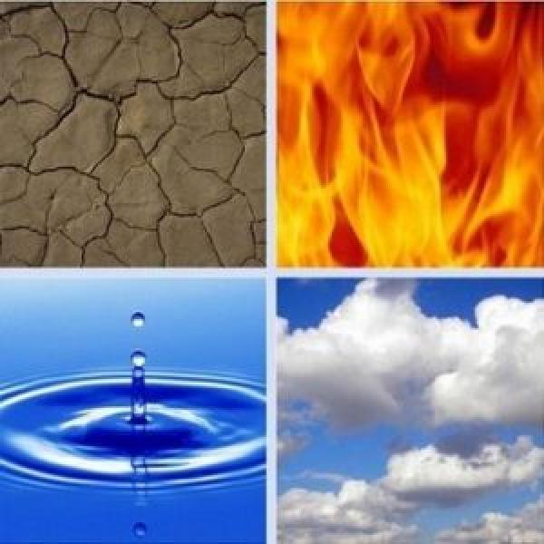 Ecosistema 