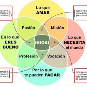 IKIGAI