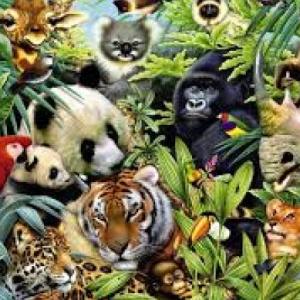 Imagen de portada del videojuego educativo: ANIMALES , de la temática Biología