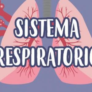 RESPIRACION