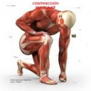 CONTRACCIÓN MUSCULAR