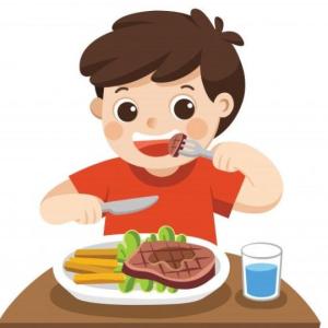 Clasificación de los alimentos