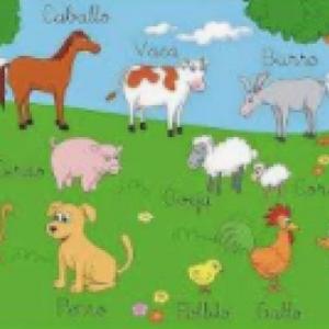 CONOCIENDO LOS ANIMALES DOMESTICOS