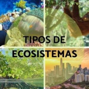 Imagen de portada del videojuego educativo: Ecosistemas - Echeverria, de la temática Biología