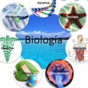 Imagen de portada del videojuego educativo: JUEGO DE BIOLOGIA, de la temática Biología