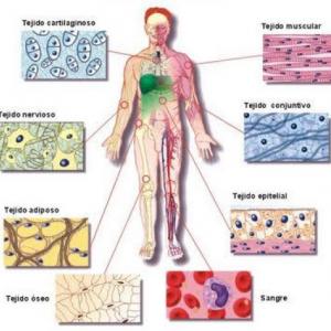 Jugar y aprender en Biología. 