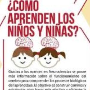 Revisión temática NEE IP