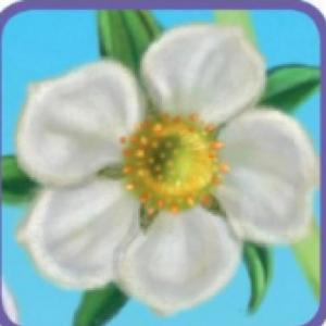 Imagen de portada del videojuego educativo: PLANTS VOCABULARY, de la temática Ciencias
