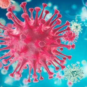 virus y bacterias