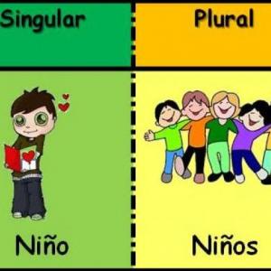 Imagen de portada del videojuego educativo: Singular Y plural, de la temática Idiomas