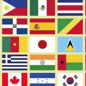 Imagen de portada del videojuego educativo: BANDERAS DE SUDAMÉRICA JUEGO, de la temática Geografía