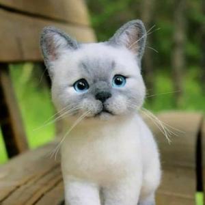 animales:]