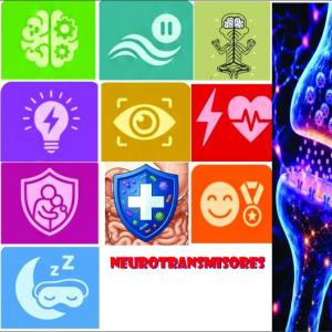 Portada del juego Los Neurotransmisores – Biología