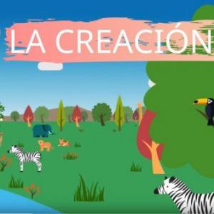 Proceso de Creación