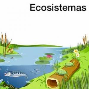 Cs. Biológicas 1° AÑO