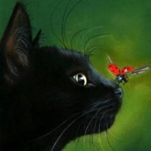 Imagen de portada del videojuego educativo: Juego de Gatos, de la temática Viajes y turismo
