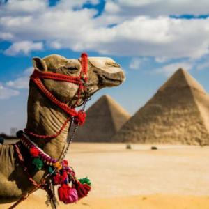 Imagen de portada del videojuego educativo: Cultura Egipcia, de la temática Historia